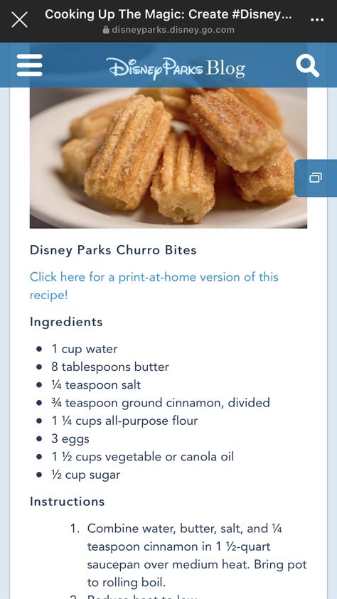 Copycat Meals, Disneyland Churros, Food Room Decor, Homemade Churros Recipe, Churro Recipe, Disney Copycat Recipes, Churro Bites, Food Room, Disney Inspired Food