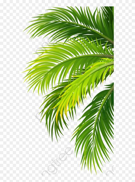 Palm Tree Sticker, Brown Wood Texture, Plant Png, Leaf Png, Coconut Leaves, Tree Sticker, Watercolour Texture Background, Leaves Watercolor, Blur Background In Photoshop