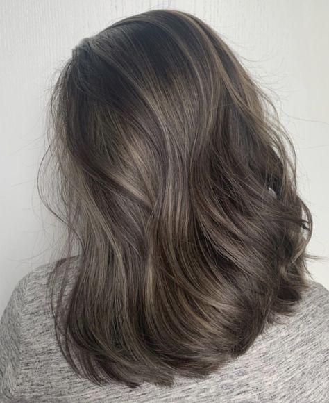 Thick Blonde Balayage, Asian Hair Color Straight, Coloring Brunette Hair, Neutral Cool Brown Hair, Should Hair Length Styles, Hair Color That Doesn't Need Bleach, Color Hair Ideas Brown, Ash Brown Hair With Curtain Bangs, Hair Lowlights For Dark Hair