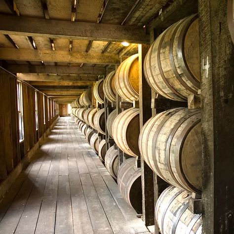 Bourbon Tour, Kentucky Bourbon Trail, Bourbon Tasting, Woodford Reserve, Buffalo Trace, Whiskey Distillery, Farm Fresh Recipes, Kentucky Bourbon, Wine Barrels