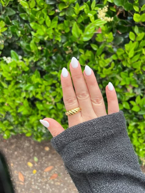 Short Pointed Nails, Simple Stiletto Nails, Short Stiletto Nails, White Stiletto Nails, Short Stiletto, Stiletto Nails Short, Small Nails, Milky Nails, Pointy Nails