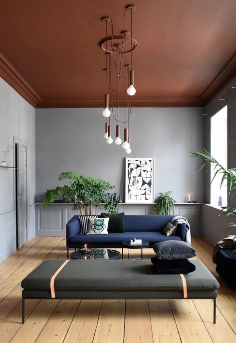 rust painted living room ceiling with gray walls Furnitur Ruang Keluarga, Rustic Farmhouse Living Room, Colored Ceiling, Living Room Ceiling, Brown Living Room, Design Del Prodotto, Painted Ceiling, Decor Minimalist, Living Room Colors