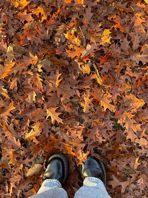 Leaves On The Ground, Autumn Leaves Falling, Studera Motivation, Leaves Falling, Fall Mood Board, Autumn Magic, Fall Mood, Spooky Szn, Season Of The Witch