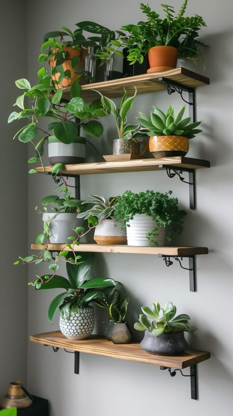 Plant Shelf Design Ideas - Remodr Floating Shelf For Plants, Indoor Plant Shelves, Hanging Wall Planters, Geometric Shelves, Rustic Wooden Shelves, Garden Shelves, نباتات منزلية, Plant Shelf, Plant Decor Indoor