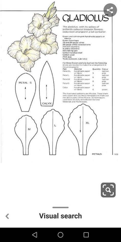 Paper Gladiolus Flower Tutorial, Orchid Flower Template, Paper Gardenia Template, Gardenia Paper Flower Template, Flower Notes, Gladiolus Botanical Illustration, Diy Shrink Plastic Jewelry, Flower Puzzles, Leaf Outline