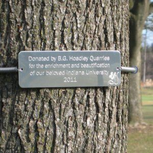 Tree Huggers | Tree Memorial Tree Plaque | Memorial Tree Plaques Markers/bighugllc.com Tree Marker, Tree Plaque, Memorial Tree, Memorial Markers, Tree Id, Tree Growth, Tree Identification, Tree Tags, Oprahs Favorite Things