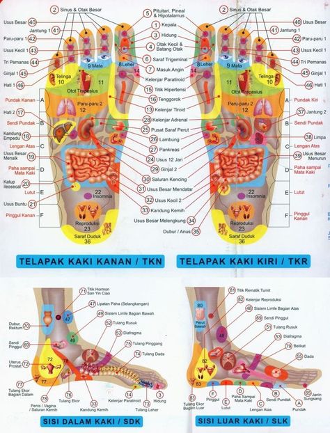 Reflexology Pressure Points, Ear Reflexology, Sistem Saraf, Reflexology Foot Chart, Body Wisdom, Hand Reflexology, Reflexology Chart, Mental Health Facts, Reflexology Massage