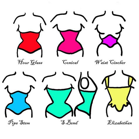 Type Of Corset Tops, Corset Types Names, Different Corset Shapes, Different Corset Types, How To Draw A Corset, Corset Drawing Reference, Waist Sketch, Corset Shapes, Type Of Corset