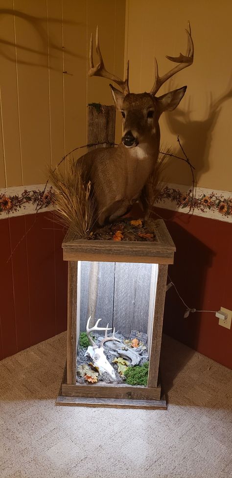 Had this pedestal and mount done. Includes a euro mount and a tin Pennsylvania hunting license along with led lighting. Deer Mount Decor, Deer Mount Ideas, Deer Hunting Decor, Deer Skull Mount, Deer Head Decor, Deer Heads Mount, Tree Drawing Simple, Deer Heads, Taxidermy Decor