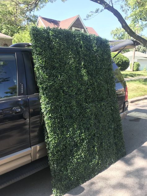 Building a Boxwood Wall / Boxwood Wall Decor Tutorial / Chicago Party Rental — Calligraphy by CT Wall Hedge Ideas, Free Standing Greenery Wall, Hedge Wall Diy, Boxwood Greenery Wall, Outdoor Photo Wall Ideas, Diy Photo Backdrop Greenery, Vine Wall Wedding, Patio Backdrop Ideas, Plant Wall Photo Backdrop