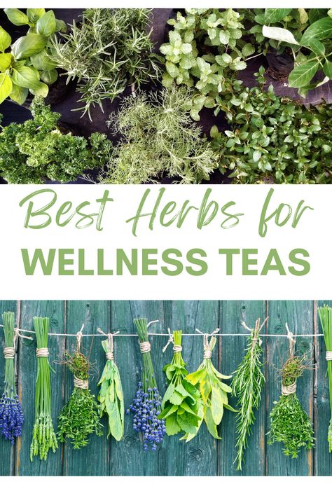 In this post, you'll learn more about growing herbs for blending your own wellness teas.  We will walk you through the 10 best herbs to grow for homemade herbal tea blends. Best Herbs For Tea, Herb Tea Recipes Natural Remedies, Herbal Blends Recipes, Herbal Tea Blends Recipes, Herb Knowledge, Diy Teas, Homemade Herbal Tea, Herbs In Containers, Herbal Tea Recipes