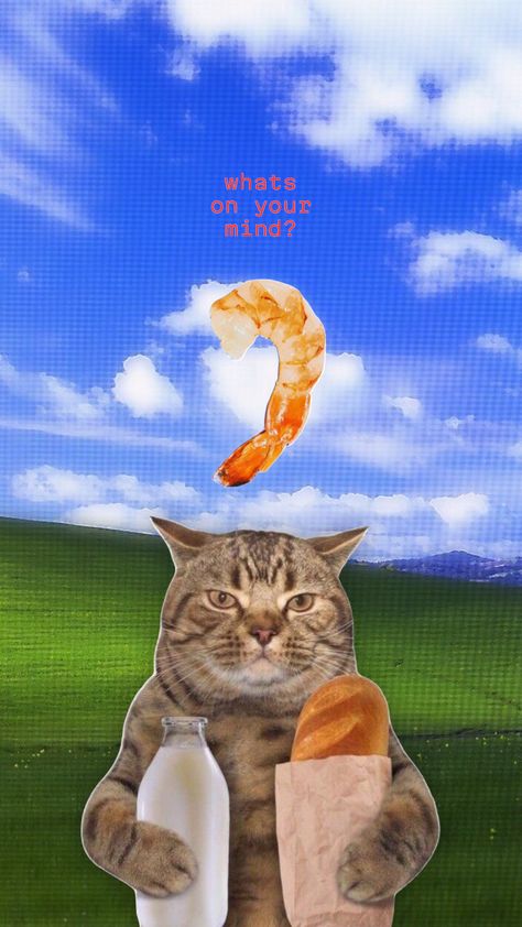 #funny #art #cat #liminal #surreal Weird Wallpaper, Singer Art, Iphone Wallpaper Cat, Funny Cat Wallpaper, Wallpaper Inspiration, Iphone Wallpaper Themes, Cat Icon, Funny Wallpaper, Bollywood Style