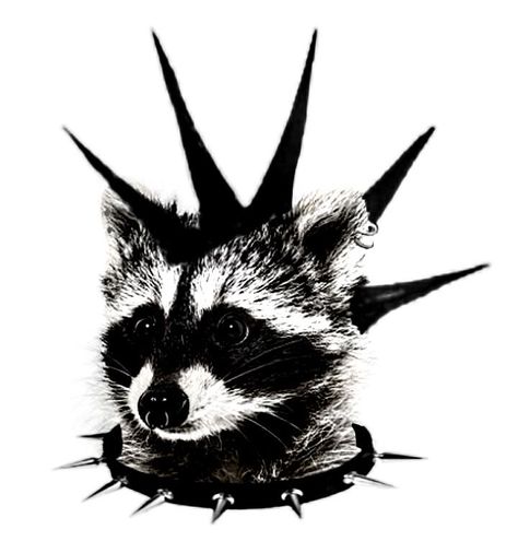 Emo Raccoon, Punk Raccoon, Raccoon Aesthetic, Raccoon Pfp, Punk Pfp, Racoon Art, Cool Raccoon, Racoon Tattoo, Punk Dog