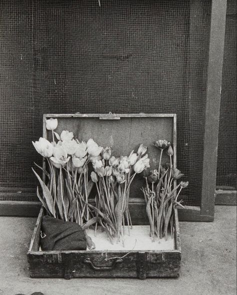 Robert Frank Photography, American Photography, Robert Frank, Robert Doisneau, The Americans, Gelatin Silver Print, Silver Print, November 9, City Photography