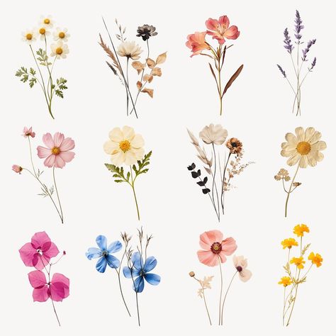 Floral Flower Sticker, Watercolor Flowers Aesthetic, Art Inspiration Flowers, Wildflower Aesthetic, Sweatshirt Diy, Filipiniana Wedding, Wildflower Drawing, Flower Paint, Flower Simple