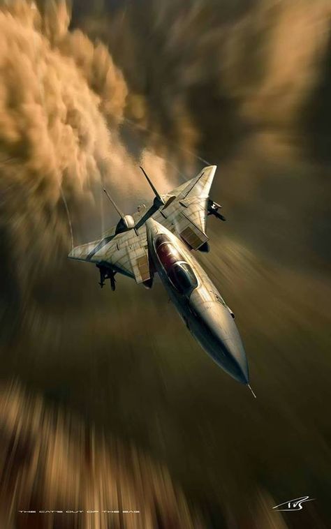 F-14d Super Tomcat, Photo Avion, Jet Fighter Pilot, F14 Tomcat, Ace Combat, Military Wallpaper, Airplane Fighter, Cadillac Ct6, Airplane Art