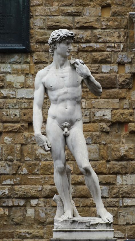 David by Michelangelo. Sculpture. . Download this photo by Hervy Jonathan on Unsplash Nude Statue, Camping Photoshoot, David Michelangelo, Art Deco Exterior, Jesus Christ Statue, Statue Of David, Male Art Reference, David Statue, Boy Body