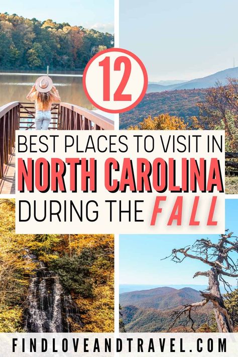 Fall Hikes, North Carolina Vacations, East Coast Usa, North Carolina Travel, Western Nc, Nc Mountains, Scenic Road Trip, Los Angeles Travel, North Carolina Mountains