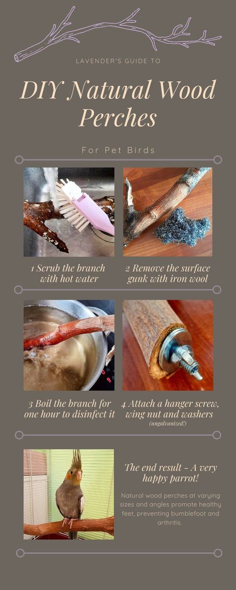 How To Make Bird Perches, Diy Perches For Birds, Bird Perches Homemade, Parrot Perches Diy Ideas, Diy Pet Bird Toys, Budgie Diy Ideas, Diy Bird Perch Branches, Diy Macaw Cage, Budgie Enrichment Diy