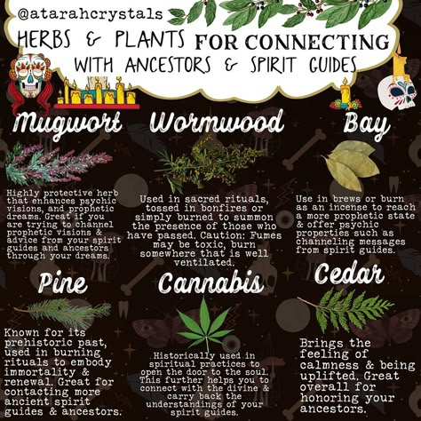 Crowned (@atarahcrystals) posted on Instagram: “6 amazing plants & herbs for connecting with your ancestors and spirit guides ✨💖 . I tried to include some herbs & plants that had varying…” • Oct 29, 2020 at 5:55pm UTC Herbs For Spiritual Awakening, Herbs To Connect With Ancestors, Herbs For Spirit Communication, Spell To Connect With Ancestors, Herbs Of Sagittarius, Plants For Spiritual Protection, Communication Herbs Witchcraft, Ancestor Herbs, Herbs For Dreams