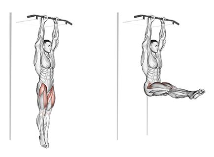 Hanging Leg Raises 2 3 Day Workout Split, 3 Day Workout, Gym Jokes, Workout Split, Hanging Leg Raises, Leg Raise, Lat Pulldown, Body Coach, Sporty Spice