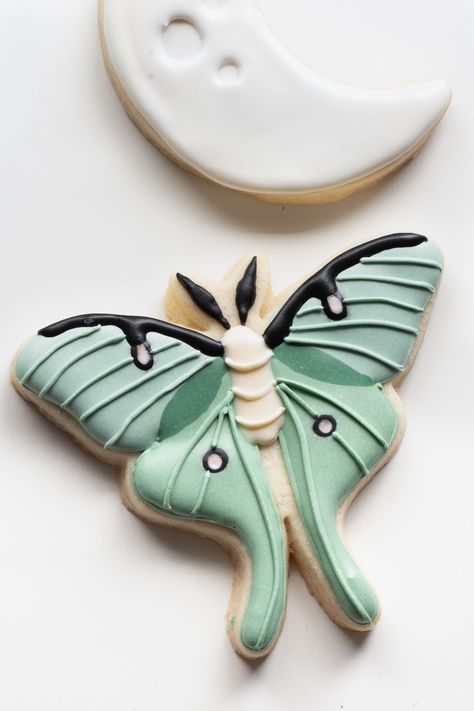 Moth Cookies, Animal Food Ideas, Animal Food, Cookie Inspiration, Desserts To Make, Sweet Dreams, Sugar Cookies, Moth, Food Animals