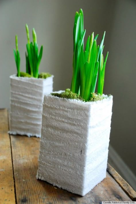 Milchkartons mit Gipsbinden umwickelt als Blumentopf Milk Carton Crafts, Creative Planter, Milk Carton, Garden Containers, Deco Floral, Diy Planters, Cheap Diy, Diy Garden Decor, Diy Creative