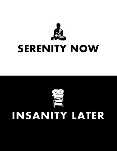 Serenity Now, Insanity Later! Seinfeld Party, Seinfeld Quotes, Lol Gif, Jerry Seinfeld, Serenity Now, Pop Culture References, Tv Show Quotes, Seinfeld, Pretzels