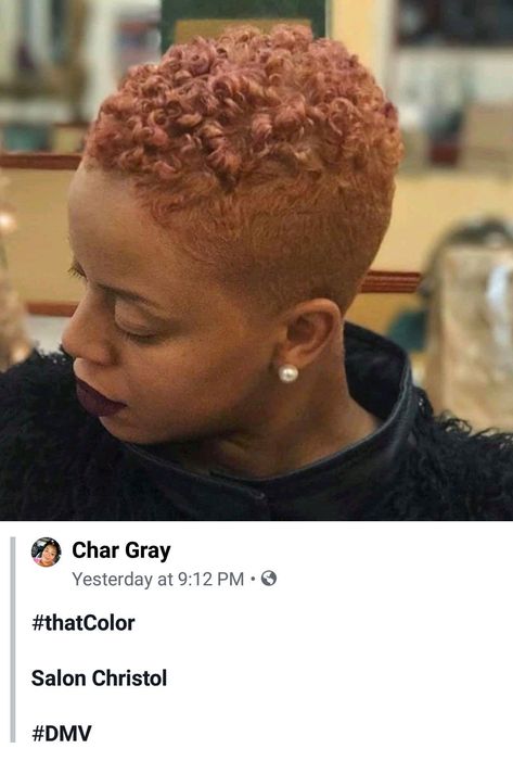 Fall Hair Colors For Black Women Natural Short Hair, Low Fade Haircut Women Black, Twa Colored Natural Hair, Low Cut Hair Black Women, Low Cut Hairstyles, Dark Skin Blonde Hair, Natural Hair Haircuts, Natural Hair Twa, Short Natural Haircuts