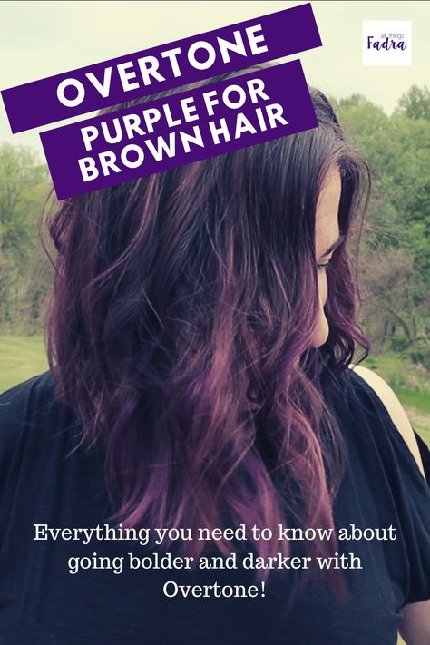 Purple Overtone On Brown Hair, Overtone Purple On Brown Hair, Subtle Purple Hair Brunettes, Subtle Purple Highlights In Brown Hair, Brunette Purple Hair, Subtle Purple Hair, Dark Plum Hair, Ombre Hair At Home, Thick Hairstyles