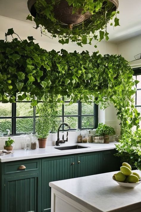 14 Best Indoor Plants For Low Light Kitchen Plant Lights Indoor Setup Kitchen, Indoor Plant Uplighting, Bright Indirect Light Plants, Indoor Plant Low Light, Uv Light For Indoor Plants, Nerve Plant, Top Of Cabinets, Cast Iron Plant, Iron Plant