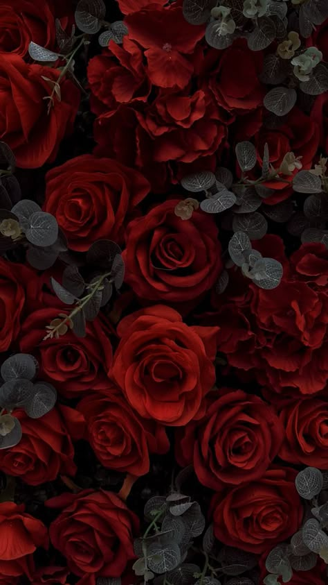 Tattoos Infinity, Red Roses Wallpaper, Tattoos Mandala, Tattoos Geometric, Roses Wallpaper, Rosé Aesthetic, Wallpaper Nature Flowers, 背景 シンプル, Flower Phone Wallpaper