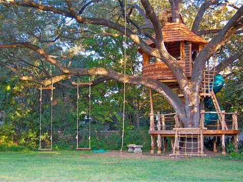 Kids Zipline, Tree House Playground, Backyard Treehouse, Beautiful Tree Houses, Tree House Plans, Tree House Diy, Tree House Kids, Cool Tree Houses, Tree House Designs