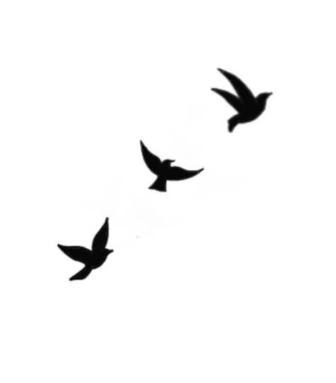 Small Tattoos For Men Birds, 3 Black Birds Tattoo, Birds Flying Silhouette Tattoo, Dove Birds Tattoo, Tattoo Doves Flying, 3 Doves Flying Tattoo, Mini Dove Tattoo, Bird Tattoo Silhouette, Bird Simple Tattoo