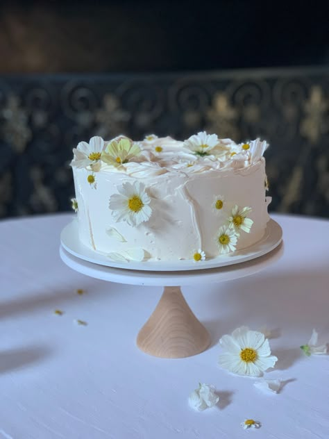 From simple and elegant to bold and beautiful, our cakes are perfect for your modern wedding! 🎂✨ Small Textured Wedding Cake, Dads 60th Birthday Cake, Modern Simple Wedding Cake, Diy Small Wedding Cake, Simple Summer Wedding Cake, Wedding Cakes Simple Elegant Romantic, Small Wedding Cakes Simple, Simple Spring Wedding Cake, Simple Small Wedding Cakes