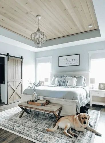 12 Best Tray Ceiling Ideas and Inspiration To Match Your Style ⋆