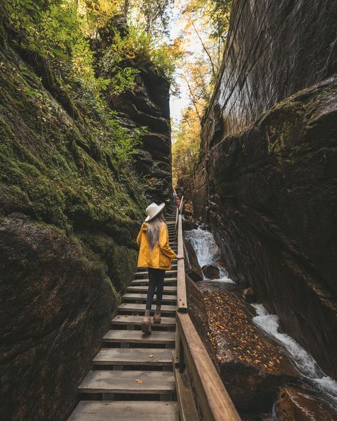 Flume Gorge is simply not to be missed when visiting New Hampshire during the fall season. 👌🏻 ✍🏼 things you should know before you visit: 📍 Flume Gorge ⏰ Opens 9AM - 5PM 🎟️ $21 for adults ✨ Although tickets are sold day of, advance reservation is recommended to select your time slot 🥾 do the full 2.2 mile loop that takes you through a few covered bridges, the gorge, and lots of views! 📸 great spots for photos; no drones allowed If you’re going (or thinking of going) to New England this fall... Flume Gorge New Hampshire, New Hampshire Fall, 2025 Manifestation, Flume Gorge, The Gorge, Fall Photoshoot, Covered Bridges, Fall Photos, New Hampshire