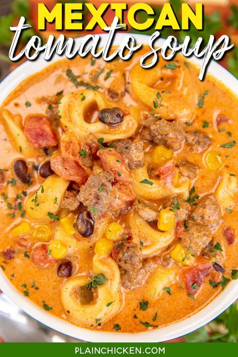 Tomato Soup Based Recipes, Mexican Tomato Soup, Mexican Tortilla Soup, Tomato Tortellini, Mexican Tortilla, Tomato Tortellini Soup, Slow Cooker Chicken Chili, Condensed Tomato Soup, Canned Tomato Soup