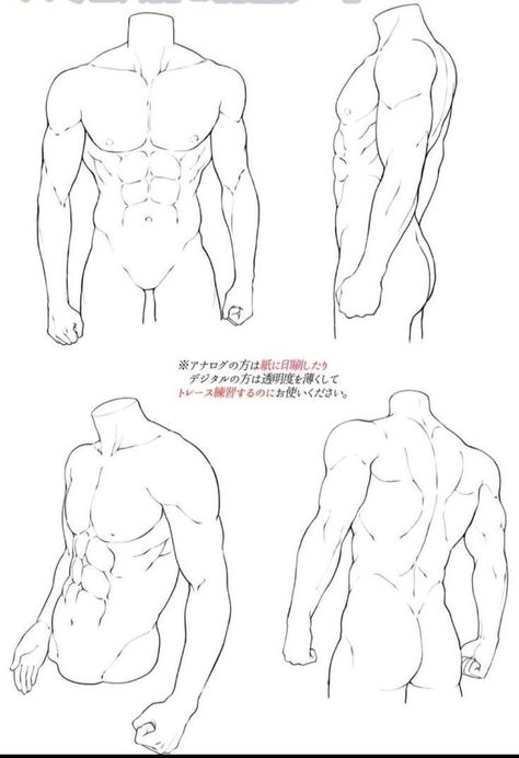 Male Body Drawing Back, Male Back Drawing Reference, Abs Art Reference, Male Back Reference, Male Anatomy Reference Drawing, Male Torso Reference, Male Body Base, Male Anatomy Reference, Anatomy Male