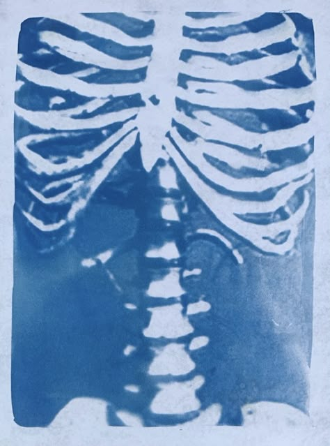 Cyanotype. Cyanotype process. Cyanotype clothing. Cyanotype art. Cyanotype shirt. Cyanotype idea. Cyanotype photography. Cyanotype fabric. Cyanotype aesthetic. 
Spooky Halloween and autumn Cyanotype print of a skeleton on paper. Sun Print Fabric, Cyanotype On Canvas, Cyanotype On Jeans, Cyanotype Art Ideas, Cyanotype Aesthetic, Blue Skeleton Aesthetic, Cyanotype On Fabric, Cynotype Clothes, Cyanotype Tshirt