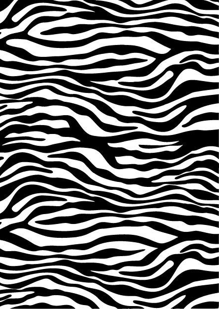 White Zebra, Cool Things, Animal Skin, New Version, Print Pattern, Zebra Print, Let Me, Deviantart, Skin