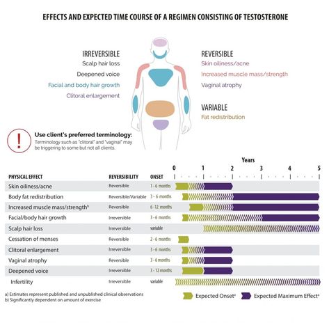 Medical Management of FtM | Transgender Care Moncton Testosterone Ftm, Ftm Testosterone, Primary Health Care, Medical Management, Osteoporosis Prevention, Testosterone Therapy, Physical Change, Medication Management, Origami Box