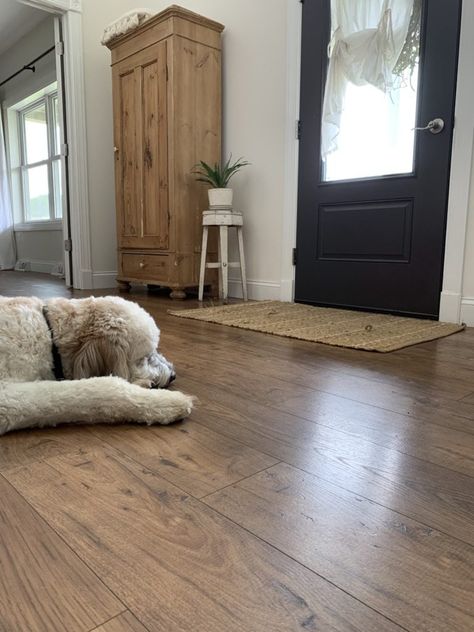 Pergo Oak Laminate Flooring, Rustic Vinyl Flooring, Lowes Vinyl Plank Flooring, Lowes Flooring, Lvp Flooring Planks, Condo Flooring, Wide Plank Laminate Flooring, Pergo Laminate Flooring, Laminate Flooring Colors