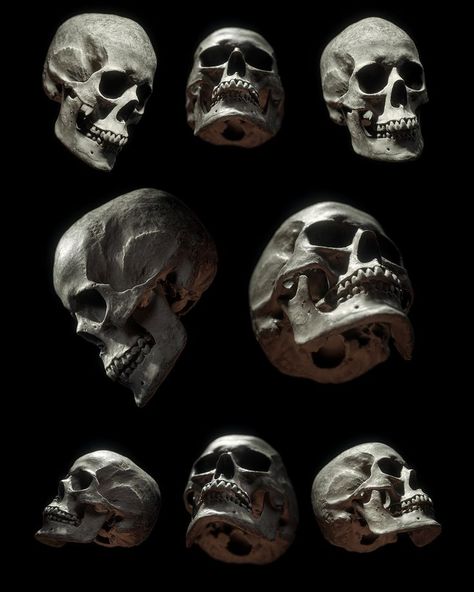 Skull Photo, Skull Anatomy, Skull Reference, Skull Model, Skeleton Anatomy, Skulls Drawing, Human Anatomy Art, 카드 디자인, Camera Raw