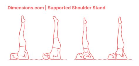 Supported Shoulder Stand is an intermediate inversion that tones the legs and glutes as well as stretches the neck and shoulders. A Supported Shoulder Stand is known to improve digestion, calm the mind, and relieve stress. Some preparatory postures include Bridge Pose an Hero Pose. Downloads online #yoga #humans #exercise #meditation Hero Pose, Body Action, Shoulder Stand, Calm The Mind, Bridge Pose, Online Yoga, Improve Digestion, Fitness Yoga, Built Environment