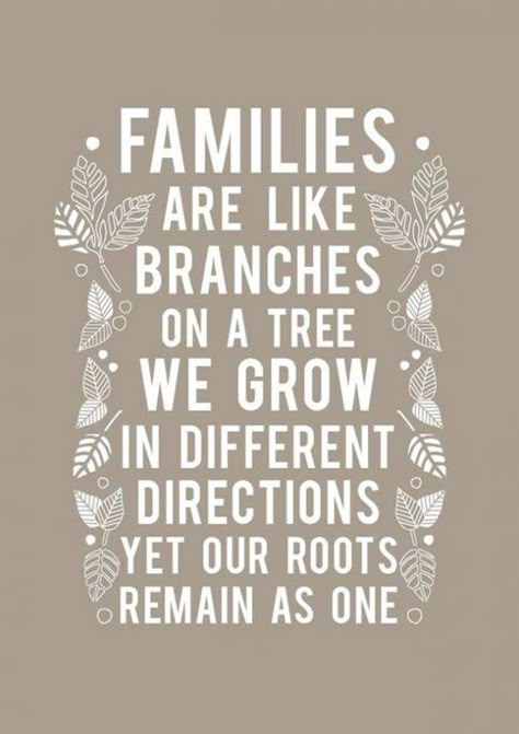 Forever Family Quotes, Photo Book Quotes, Famous Quotes About Family, Family Tree Quotes, Best Family Quotes, Family Love Quotes, Family Quotes Inspirational, Tree Quotes, Cousin Quotes