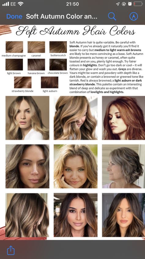 Cool Autumn Hair Color, Soft Autumn Highlights, House Of Color Autumn Hair, Soft Autumn Outfits Minimal Classic, Mute Autumn Hair Color, Autumn Skin Hair Color, Soft Autumn Best Hair Color, Hoc Autumn Hair, Blonde For Soft Autumn