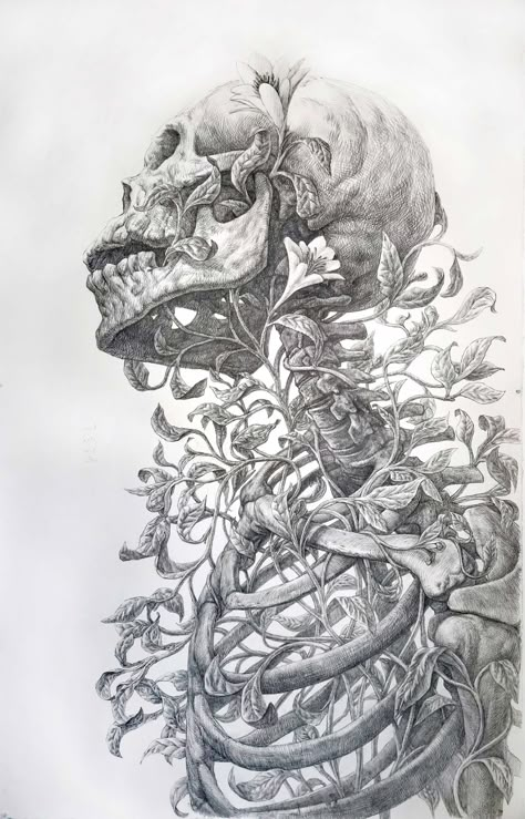 Vines and Flowers Intertwine with an Imposing Skeleton in an Elegant Graphite Drawing by Guno Park | Colossal Skeleton Drawings, Colossal Art, Skeleton Art, Graphite Drawings, Gcse Art, A Skull, Anatomy Art, 영감을 주는 캐릭터, Skull Art