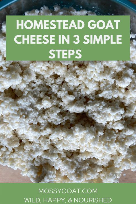 With just two ingredients and three steps, this simple but delicious goat cheese is sure to become a homestead staple. No starter culture is needed. #homestead #goatcheese #cheesemaking #homesteading #selfreliance #recipe #harvest