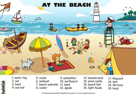 Beach Vocabulary poster. Download FULL-SIZE and FREE! Kid Worksheets, Picture Story Writing, Kindergarten Goals, Summer Vocabulary, Picture Comprehension, Body Parts Preschool, Free Posters, Picture Composition, Preschool Activities Toddler